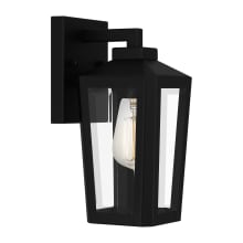 Blomfield 11" Tall Outdoor Wall Sconce
