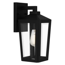 Blomfield 13" Tall Outdoor Wall Sconce