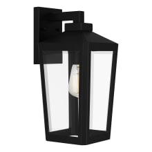 Blomfield 16" Tall Outdoor Wall Sconce