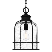 Bowles 10" Wide Mini Pendant with Seedy Glass Shade