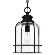 Bowles 10" Wide Outdoor Mini Pendant with Seedy Glass Shade