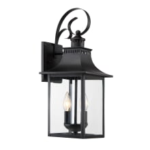 Chancellor 2 Light 19" High Outdoor Wall Sconce with Clear Glass Shade