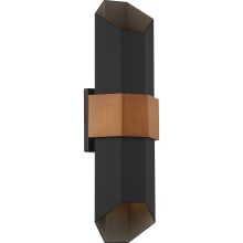 Chasm 21" Tall LED Outdoor Wall Sconce