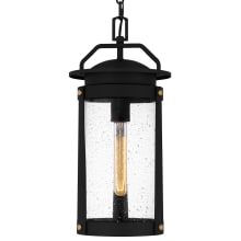Clifton 9" Wide Mini Pendant with Seedy Glass Shade
