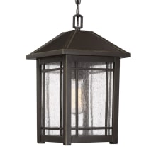 Cedar Point Single Light 9-3/4" Wide Outdoor Mini Pendant with Clear Seedy Glass Shade