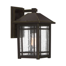 Cedar Point Single Light 13" High Outdoor Wall Sconce with Clear Seedy Glass Shade