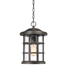 Crusade Single Light 10" Wide Outdoor Lantern Style Pendant with Seedy Glass Shade