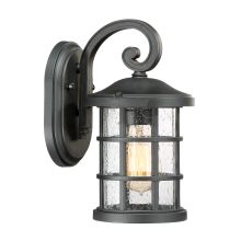 Crusade Single Light 11" Tall Outdoor Lantern Style Wall Sconce with Seedy Glass Shade