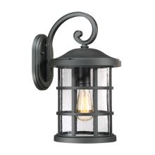 Crusade Single Light 18" Tall Outdoor Lantern Style Wall Sconce with Seedy Glass Shade