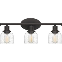 Caverly 3 Light 22" Wide Vanity Light with Seedy Glass Shades