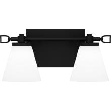 Daniels 2 Light 13" Wide LED Vanity Light with Frosted Glass Shades