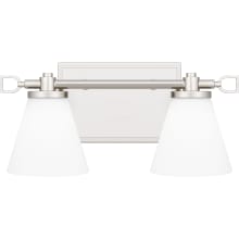 Daniels 2 Light 13" Wide LED Vanity Light with Frosted Glass Shades