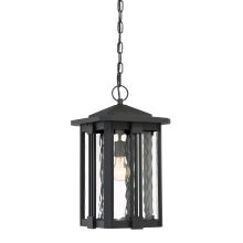 Everglade Single Light 11" Wide Outdoor Lantern Style Pendant with Water Glass Shade