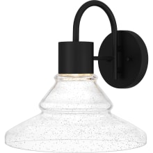 Felix 14" Tall LED Wall Sconce with Seedy Glass Shade