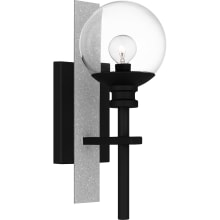 Gladstone 15" Tall Wall Sconce with Clear Glass Shade