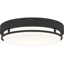 Hale 14" Wide LED Flush Mount Drum Ceiling Fixture with Acrylic Shade