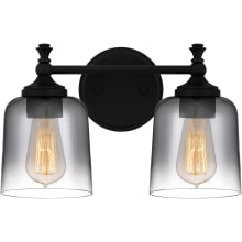 Jenson 2 Light 14" Wide Vanity Light with Smoked Glass Shades