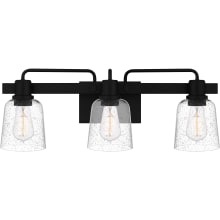Lydia 3 Light 24" Wide Vanity Light with Seedy Glass Shades