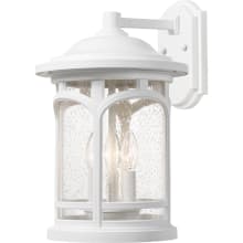 Marblehead 3 Light 14-1/2" Tall Outdoor Wall Sconce with a Glass Shade
