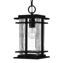 McAlister 8" Wide Outdoor Mini Pendant