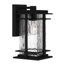 McAlister 12" Tall Outdoor Wall Sconce