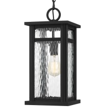 Moira 8" Wide Outdoor Mini Pendant