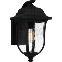 Mulberry 17" Tall Wall Sconce with Seedy Glass Shade