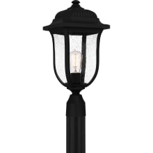 Mulberry 20" Tall Post Light with Seedy Glass Shade