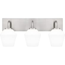 Nielson 3 Light 21" Wide Bathroom Vanity Light with Etched Opal Shades