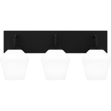 Nielson 3 Light 21" Wide Bathroom Vanity Light with Etched Opal Shades