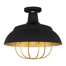 Darmody 17" Wide Semi-Flush Ceiling Fixture / Converts to Pendant