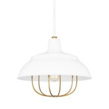 Darmody 17" Wide Pendant