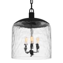 Selma 3 Light 14" Wide Pendant with Water Glass Shade