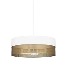 Alani 4 Light 20" Wide Pendant