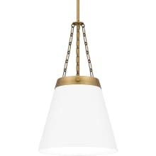 Alwyn 14" Wide Pendant