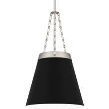 Alwyn 14" Wide Pendant