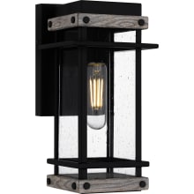 Strader 12" Tall Outdoor Wall Sconce with Seedy Glass Shade