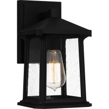 Satterfield 11" Tall Wall Sconce with Seedy Glass Shade