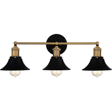 Trafalgar 3 Light 24" Wide Bathroom Vanity Light