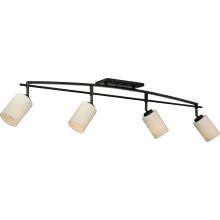 Taylor 4 Light 44" Wide Track Lighting Kit with Glass Cylinder Shade