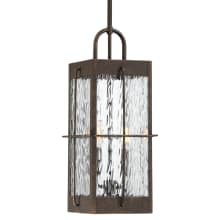 Ward 2 Light 8" Wide Outdoor Mini Pendant