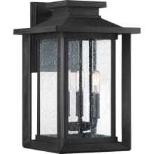 Wakefield 3 Light 17" Tall Outdoor Wall Sconce
