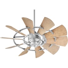 Windmill 44" 10 Blade Indoor / Outdoor DC Ceiling Fan with Wall Control