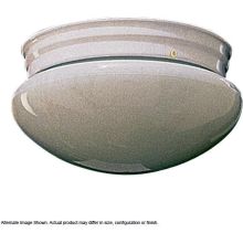 1 Light Flushmount Ceiling Fixture with Frosted Glass Shade