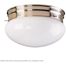 1 Light Flushmount Ceiling Fixture with Frosted Glass Shade