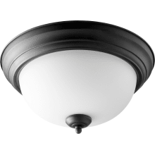 2 Light 14" Wide Flush Mount Bowl Ceiling Fixture