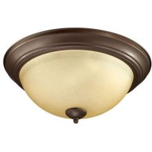3 Light Outdoor Flushmount Ceiling Fixture with Frosted Glass Shade