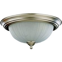 2 Light Flushmount Ceiling Fixture with Frost Frosted Glass Shade