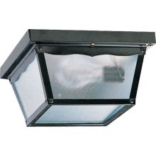 2 Light Flushmount Outdoor Ceiling Fixture with Misty Diffused Shade