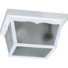 2 Light Flushmount Outdoor Ceiling Fixture with Misty Diffused Shade